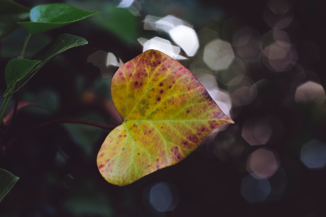 세금/절세 정보