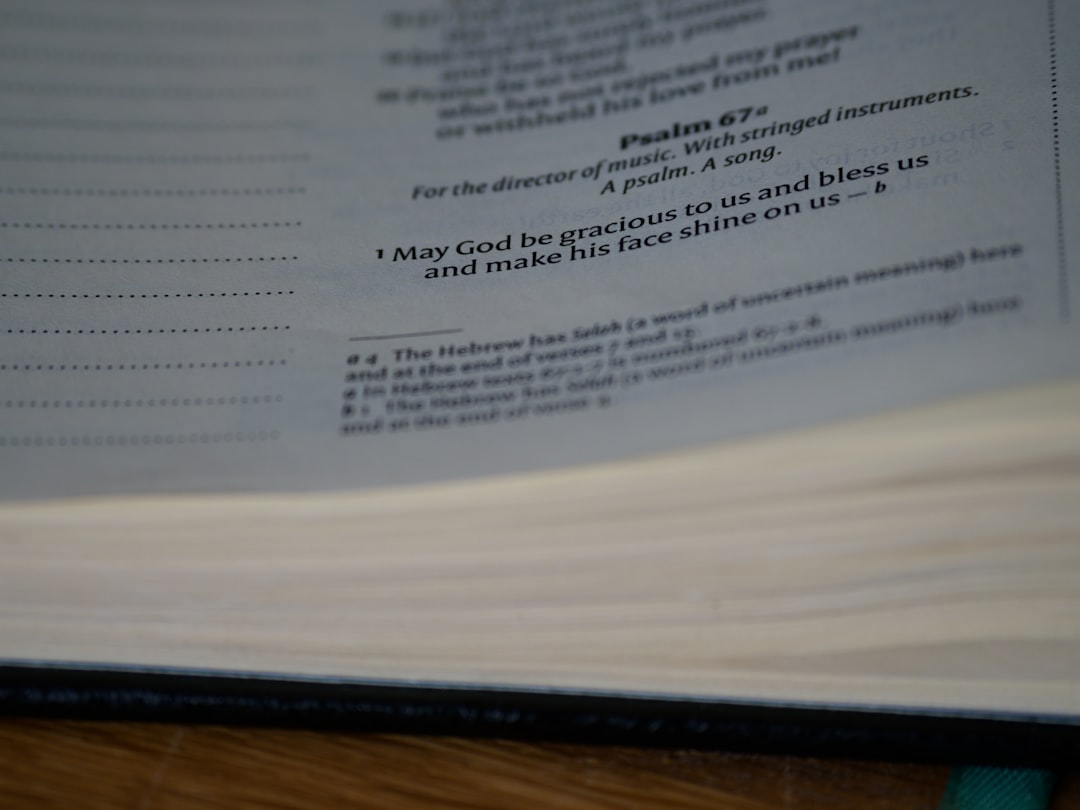 사업소득 절세 방법 가이드